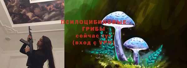 трава Михайловск