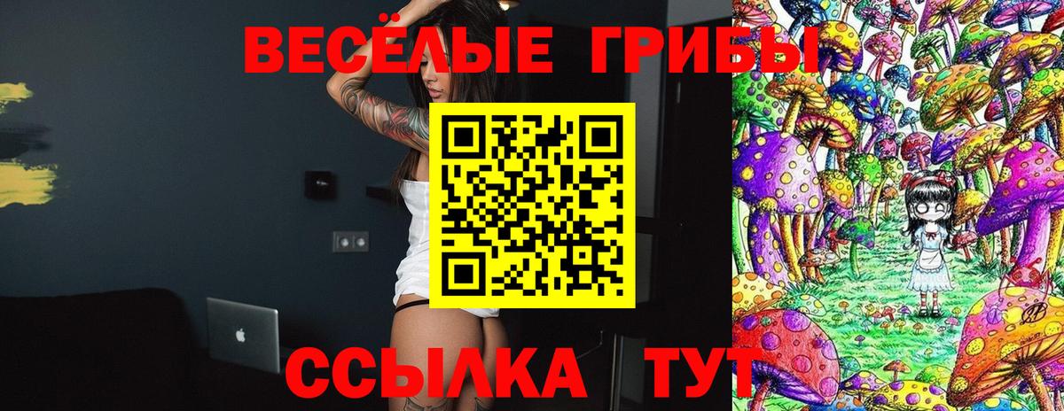 Псилоцибиновые грибы ЛСД Кунгур