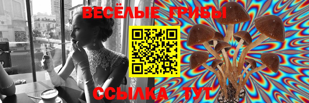 COCAIN  Кунгур  МЕФ  Гашиш  Экстази  МАРИХУАНА  Альфа ПВП  Вход с VPN 