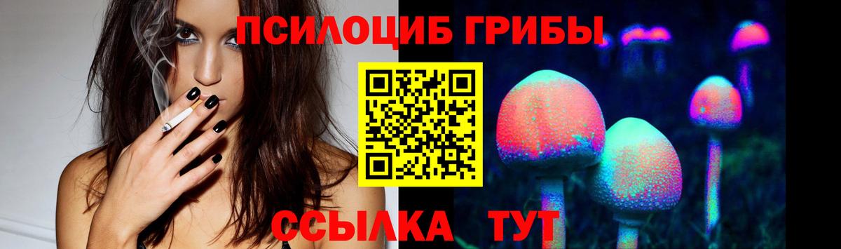 Псилоцибиновые грибы Psilocybine cubensis  Кунгур  Псилоцибиновые грибы мицелий 