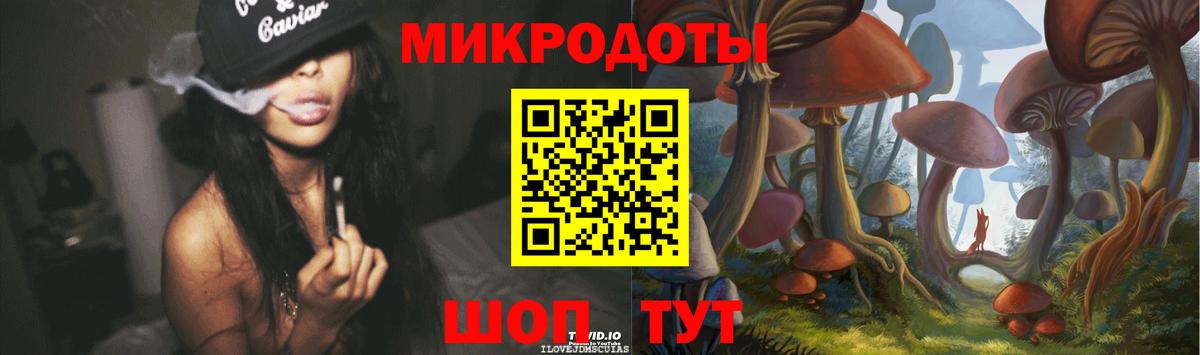 Галлюциногенные грибы Psilocybine cubensis Кунгур